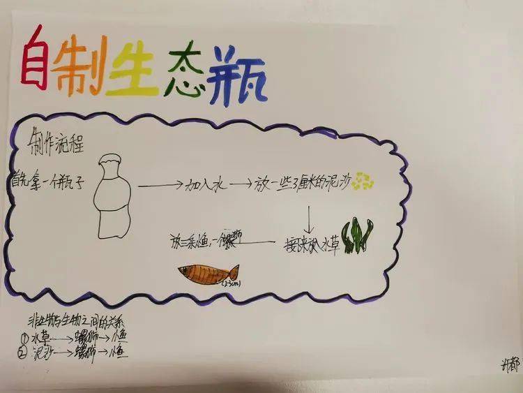 让自然世界更美好——本真部五年级科学生态系统手抄报展示