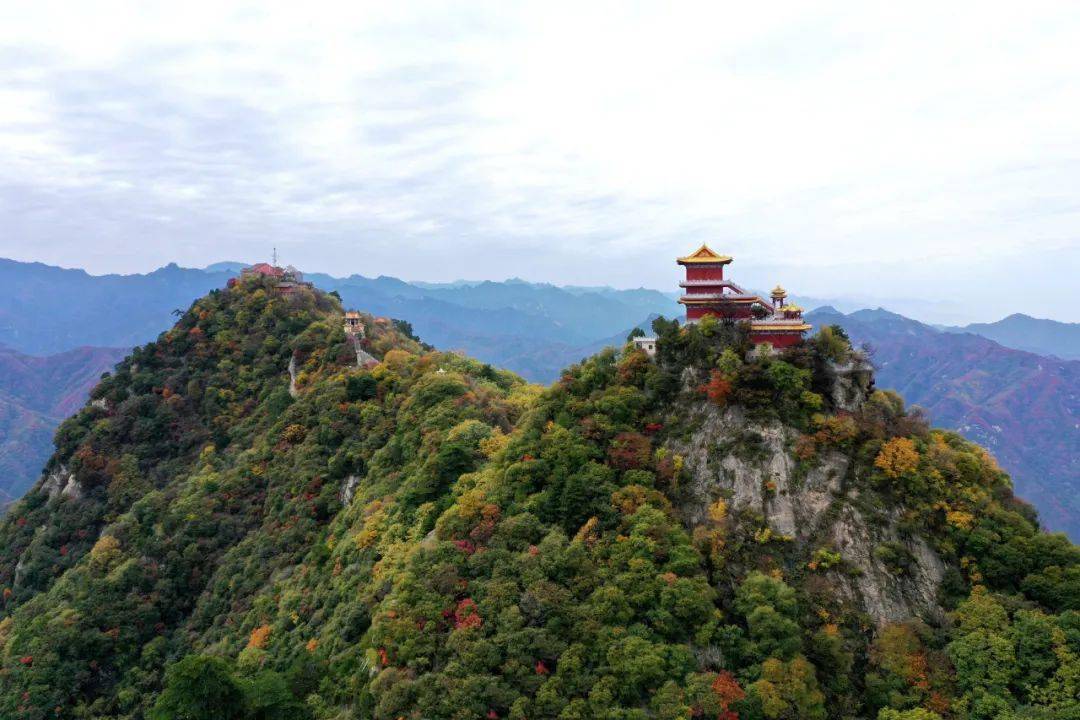 秦岭神树取景地图片