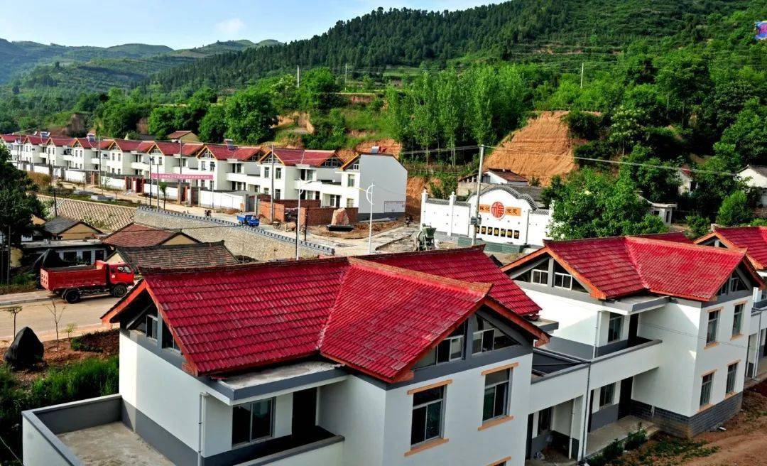 期,图为文家村群众为苹果脱袋》冉创昌 摄《康县岸门口镇朱家沟村》