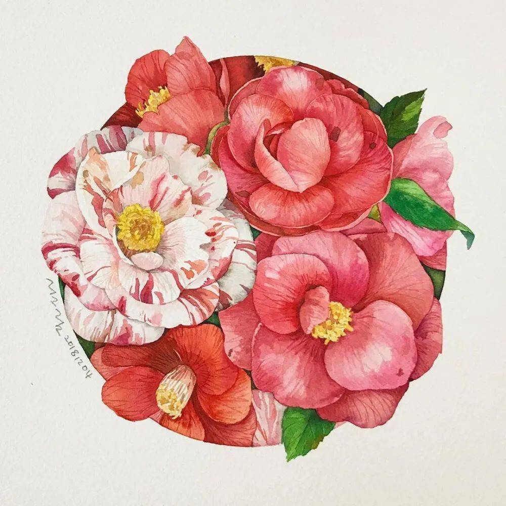 层叠平铺的水彩花卉,清新治愈系水彩插画