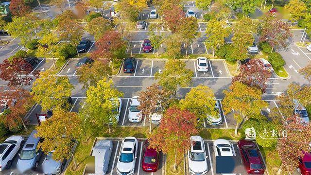 "国家园林城市""江苏省生态 园林城市",在城区建设林荫生态停车场24处