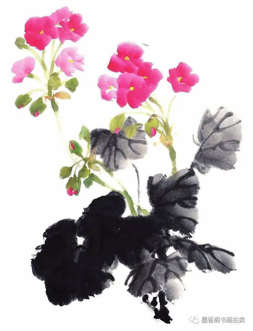 国画教程:写意天竺葵的画法