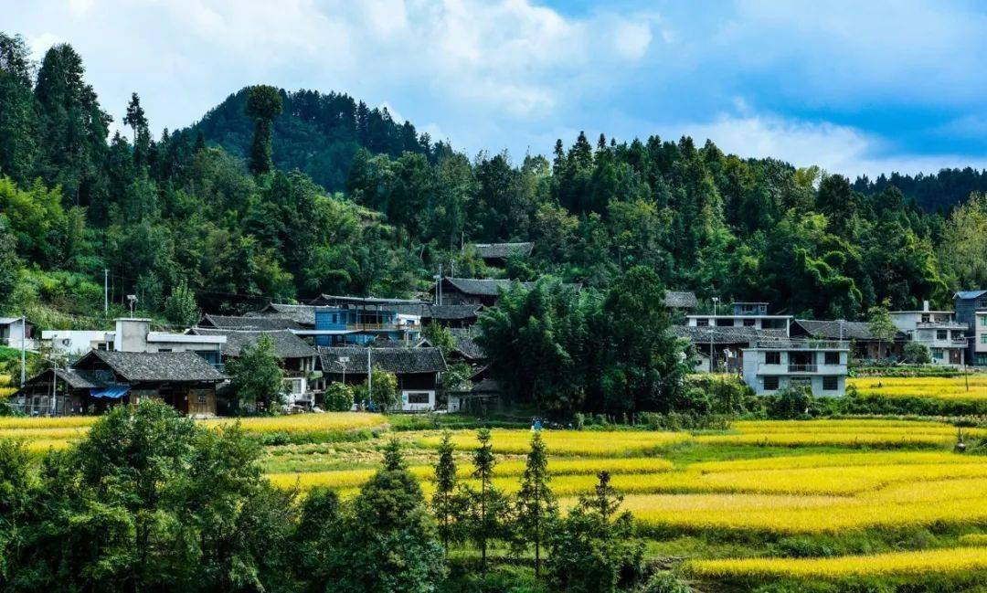 一不小心,秋日的洋溪已经美成了一幅画