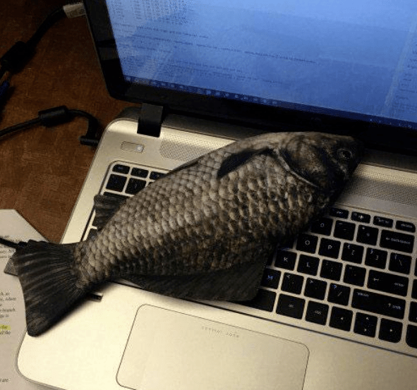 几张"尴尬"又"搞笑"的图片,笑死人不负责!_手机搜狐网