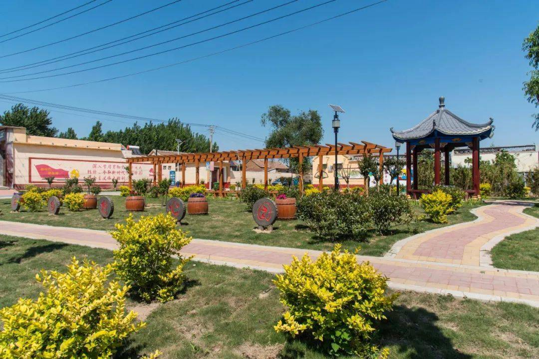 我家街巷最美系列展示德州市齐河县刘桥镇赵店村