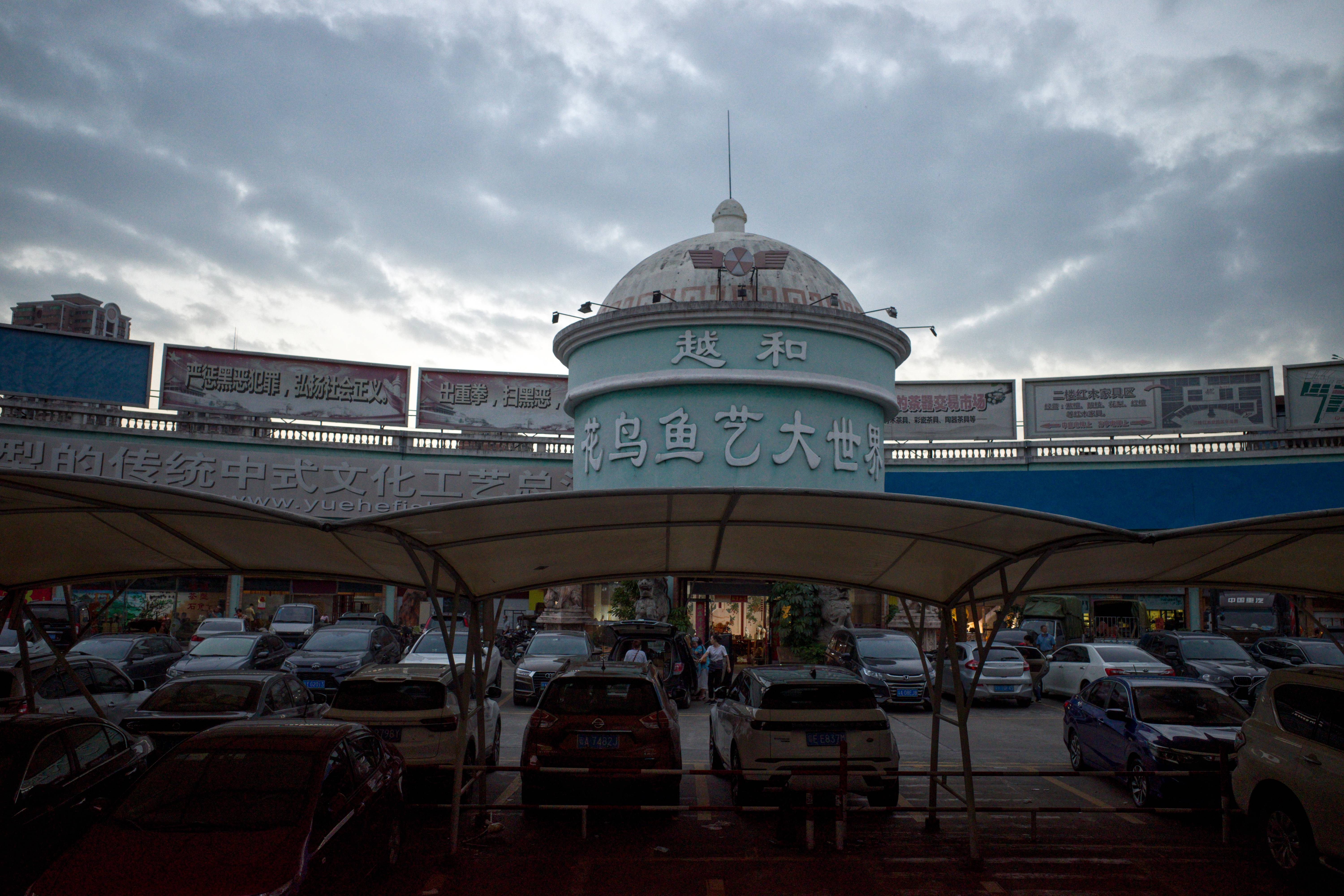 广州芳村花鸟鱼虫市场图片