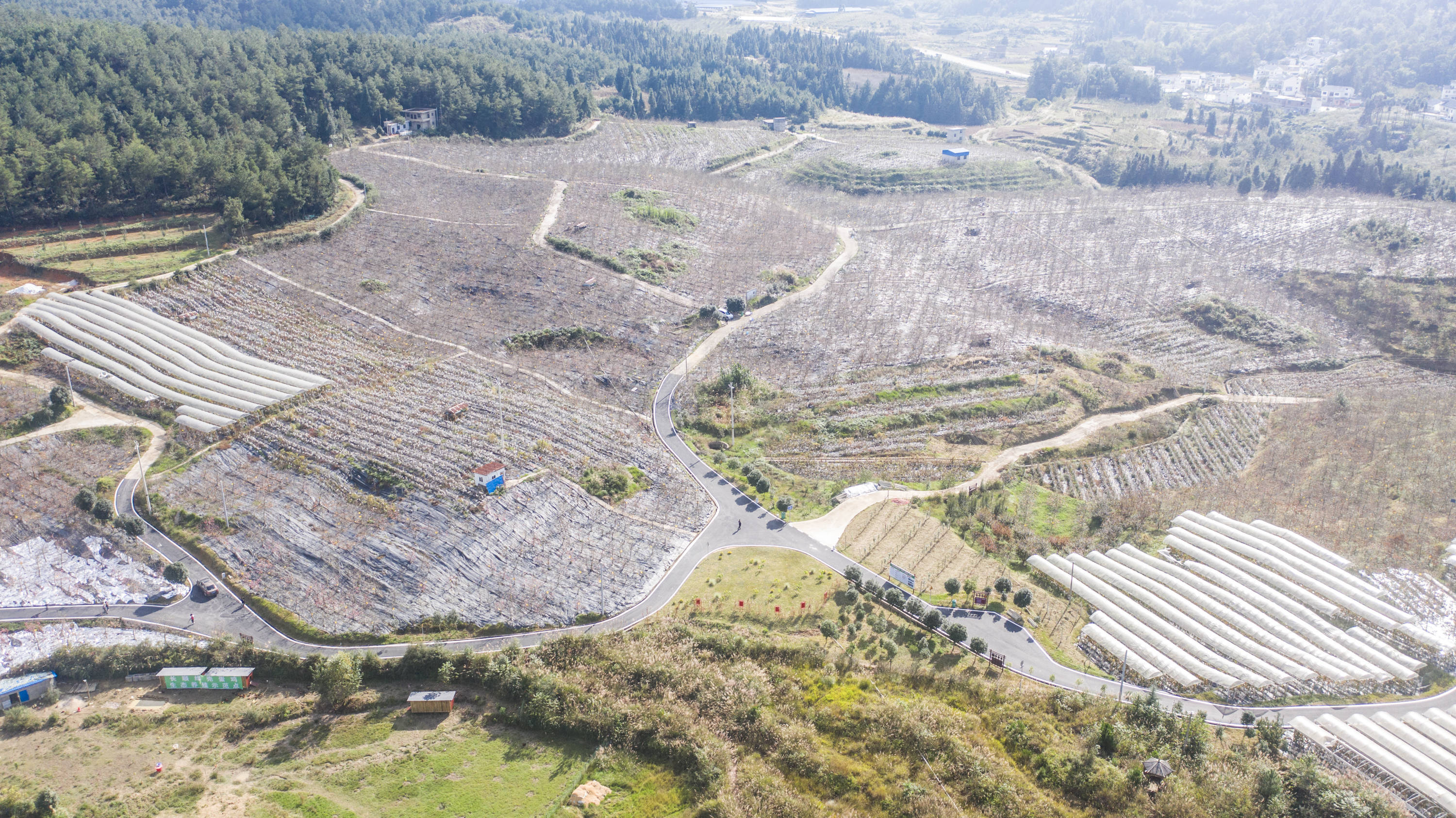 這是10月21日拍攝的貴州長順縣廣順鎮石板村的農村公路(無人機照片).