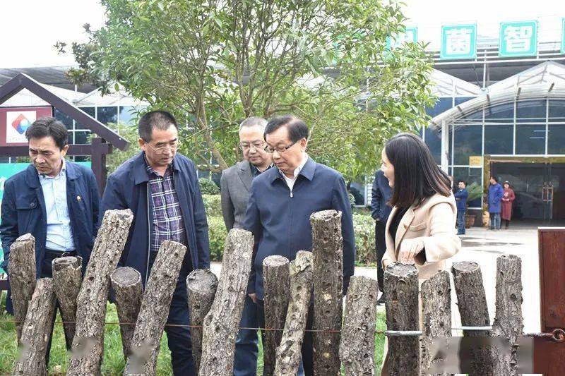 青川微新闻速览身边事20201020期