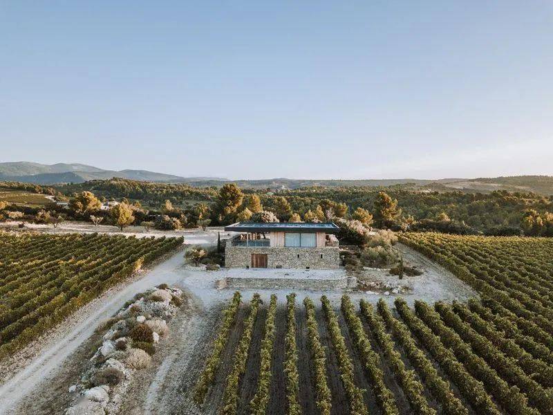 中国酒单大奖专访|南法独树一帜的生物动力法葡萄酒领导者gérard