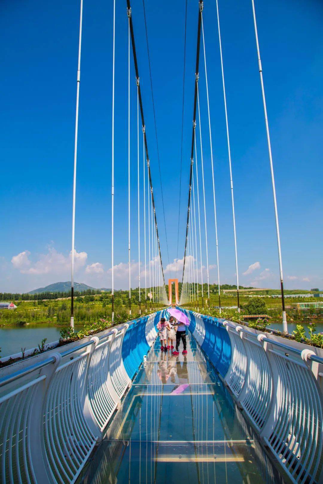 康王谷花世界景区面向女士免费!