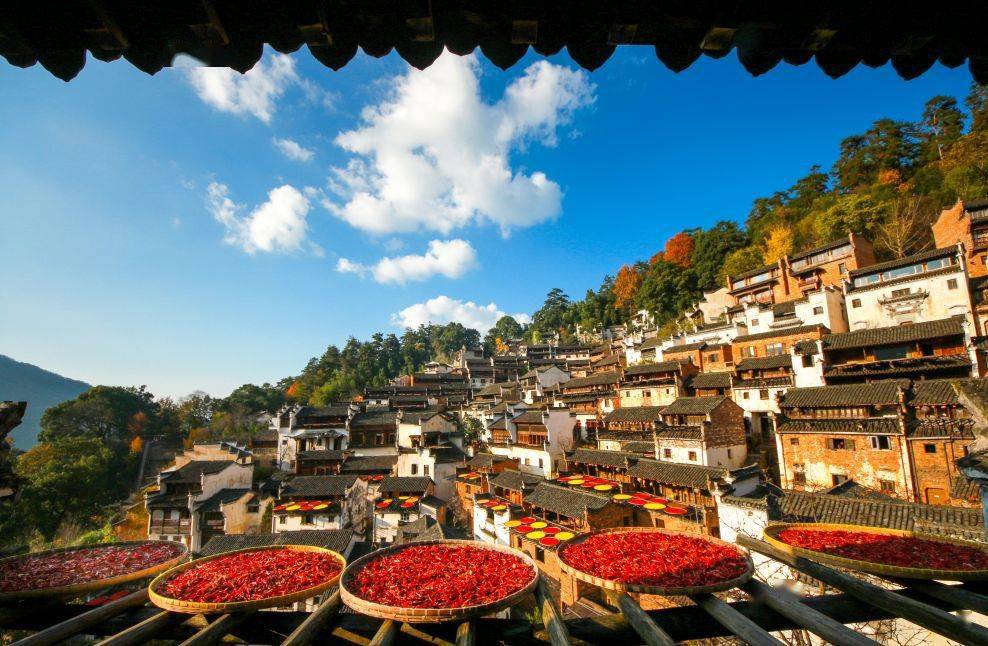 10月31日发团婺源篁岭晒秋2日游268元人