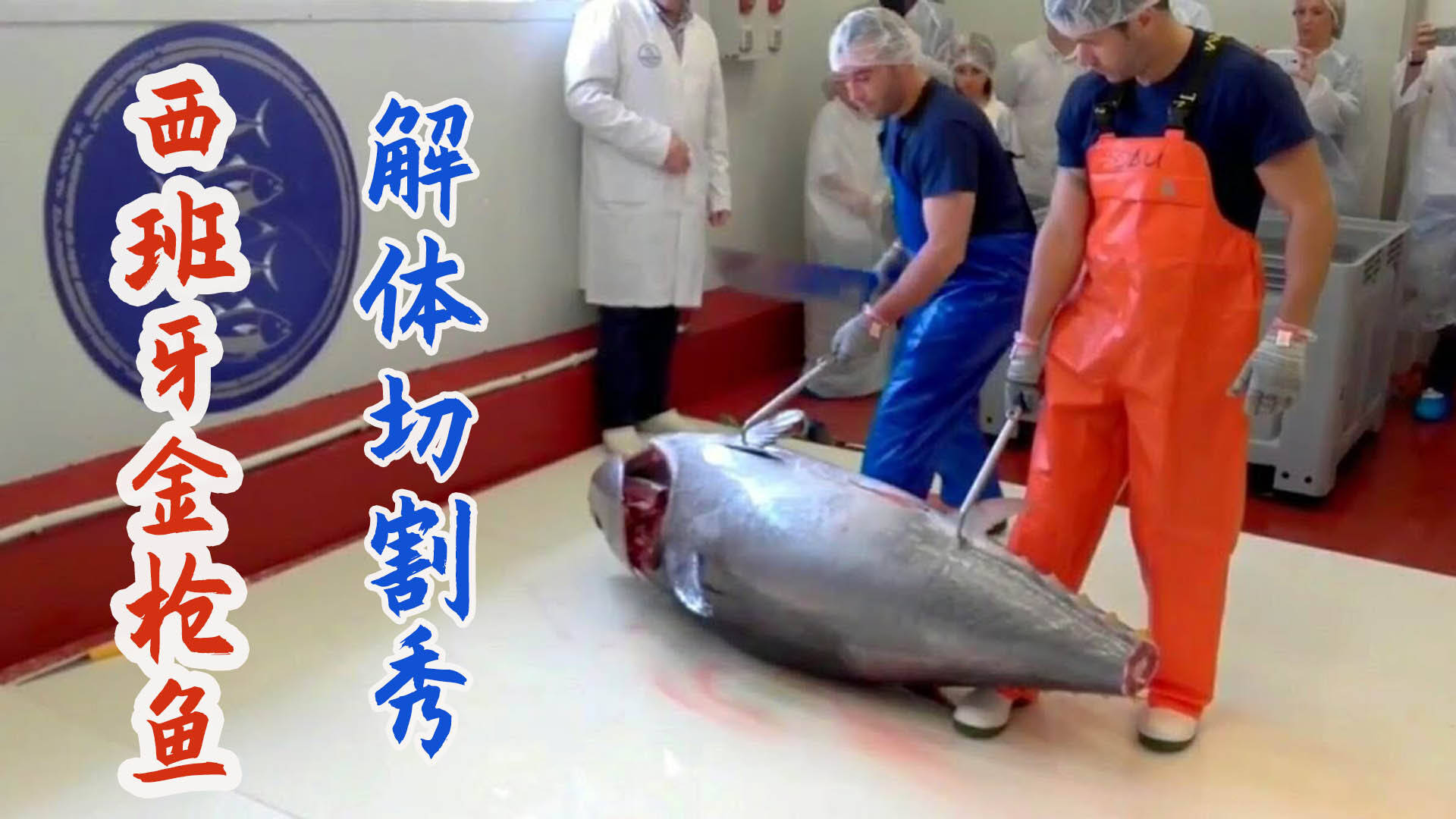 西班牙金枪鱼解体分割秀厨师刀工比日本差十倍不止