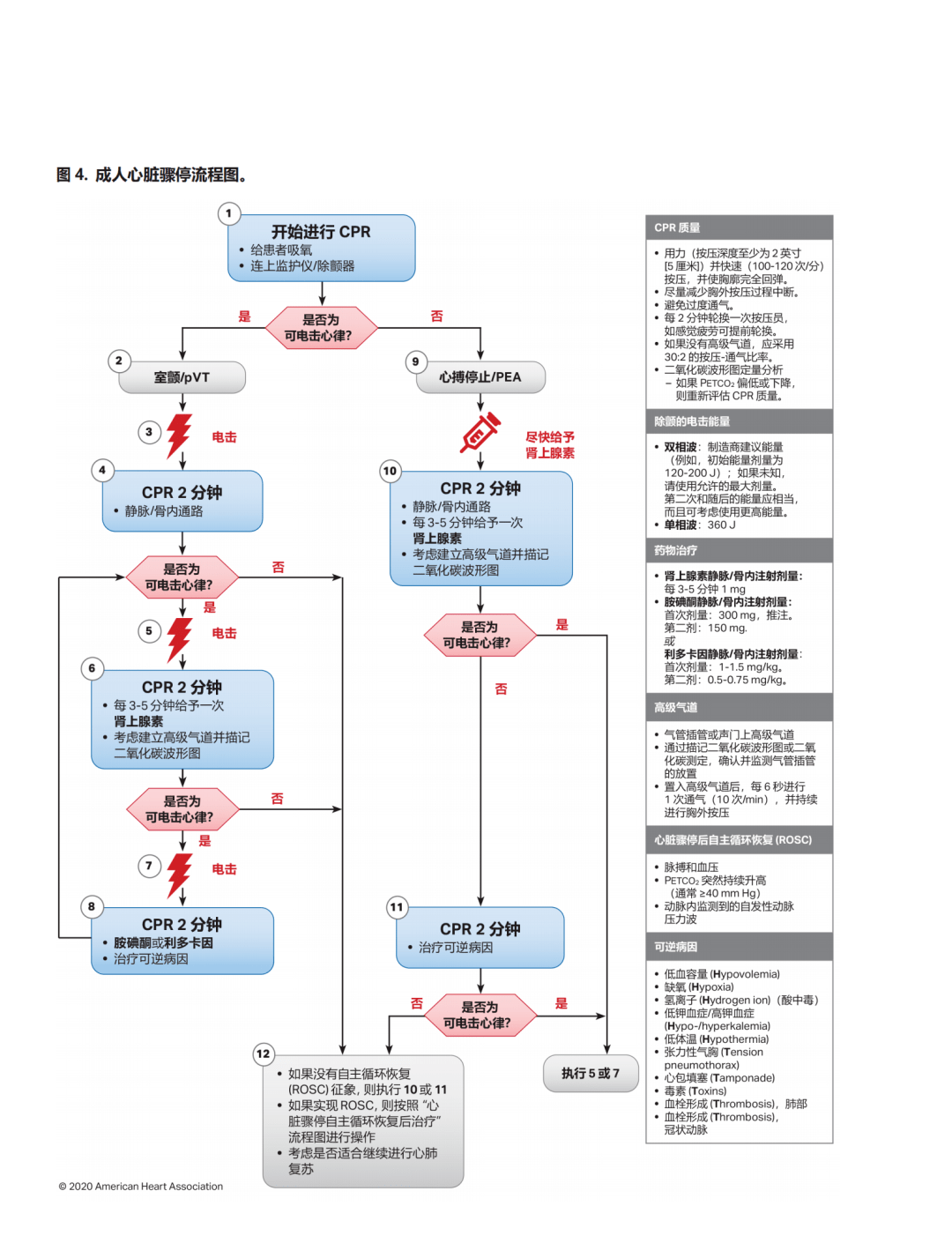 心肺复苏流程图英文版图片