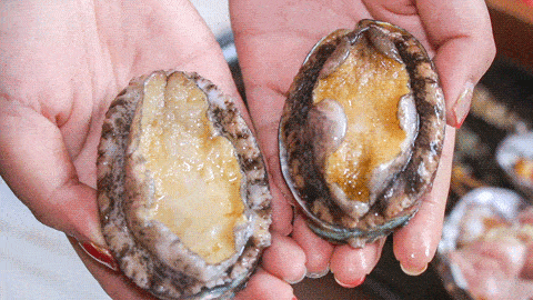 480_270gif 动态图 动图