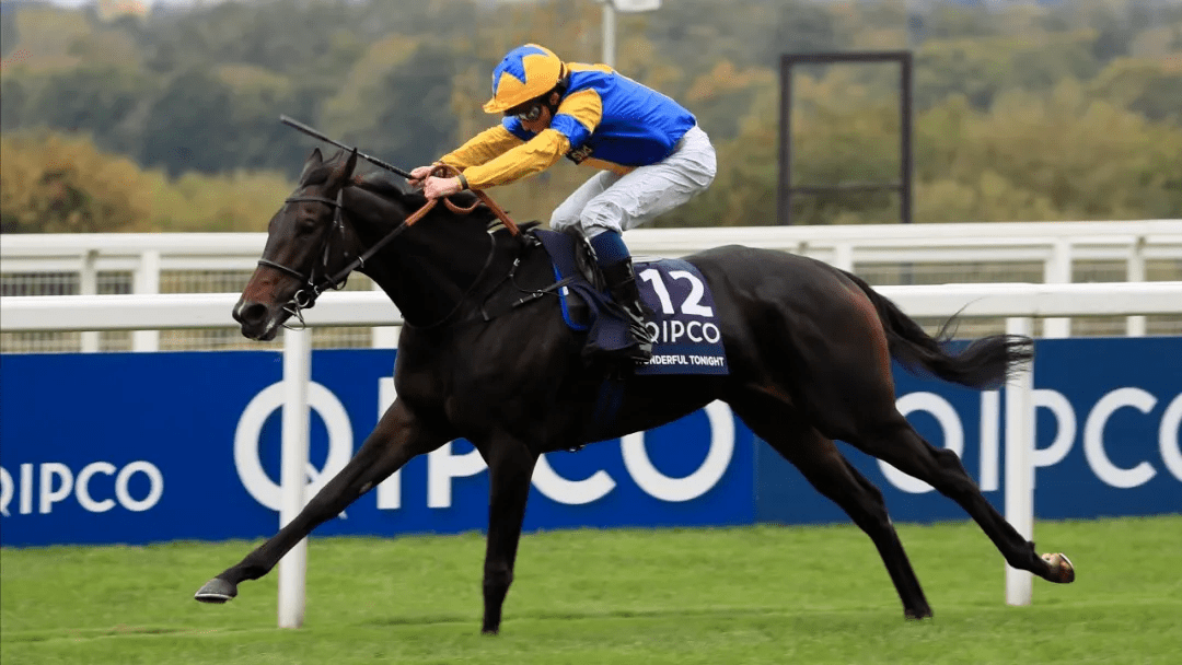 冠军长途杯,但于女皇伊利沙伯二世锦标与不败马"海上宫殿"依然成为一