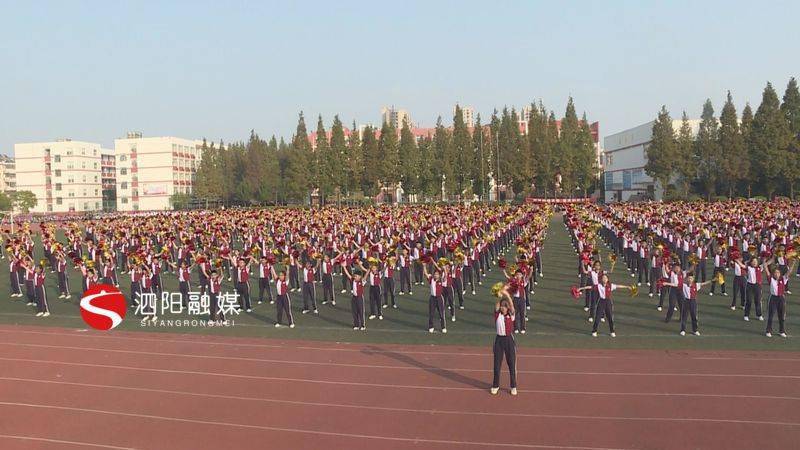 泗阳致远中学校花图片