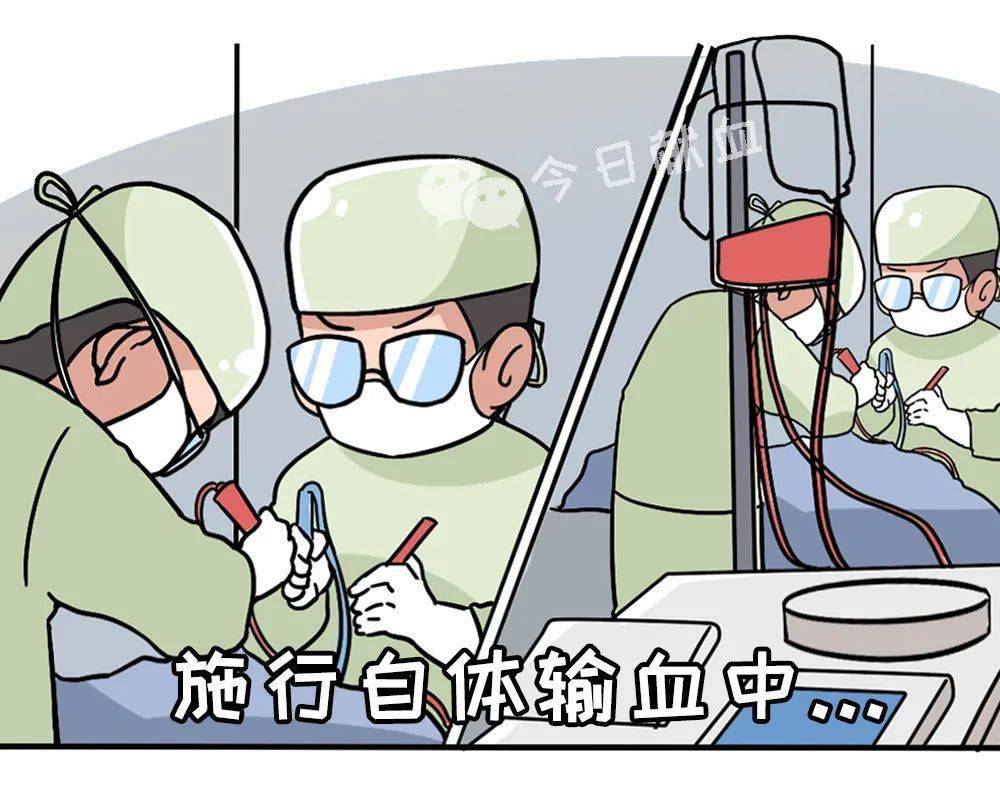 自体输血是指采集患者体内血液或回收自体丢失血液或者血液成分再回输