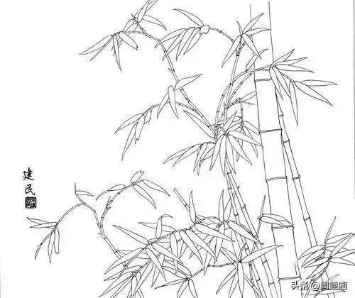 速写风景竹子图片