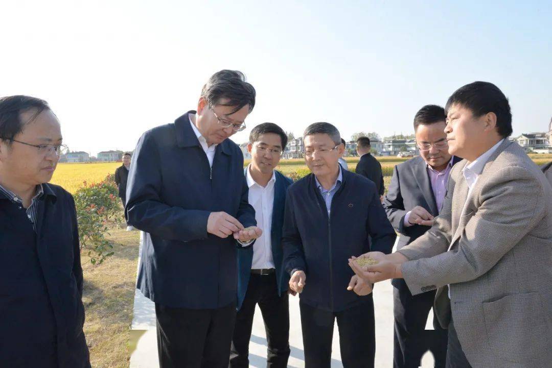 强化科技创新 做大农业品牌!焦市长为全市现代农业工作出点子