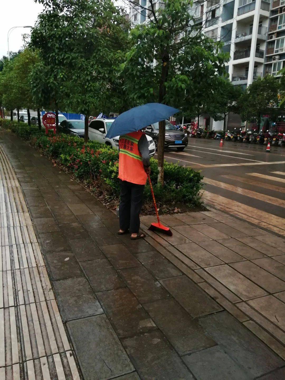 文明行为随手拍点赞环卫工人的平凡坚守