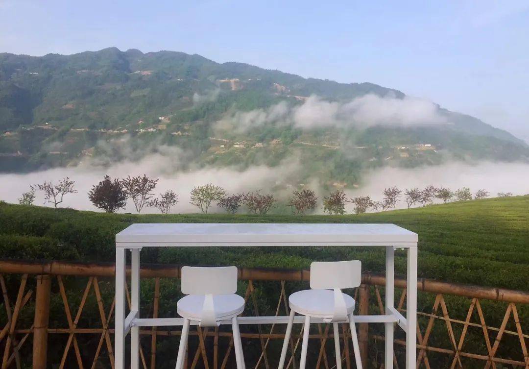 2017 年,马代俊和他的团队带着半亩茶园模式来到紫阳县,被这里优美