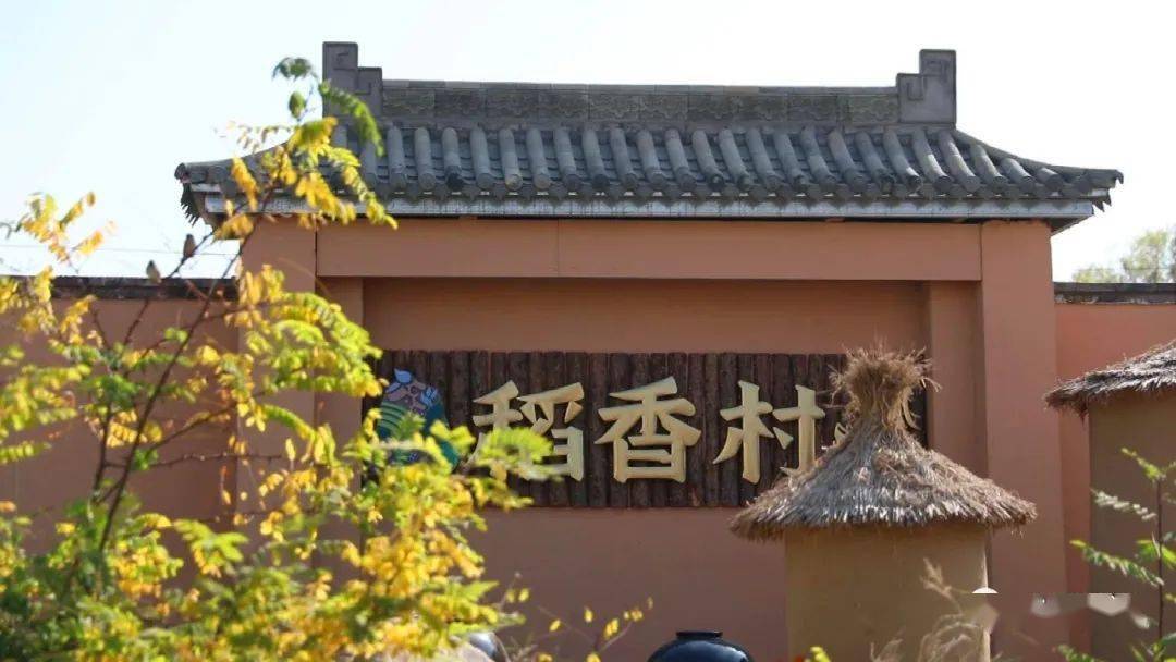 视频乡村振兴行靖远县瓜园村黄河岸边桃花源生态旅游产业兴