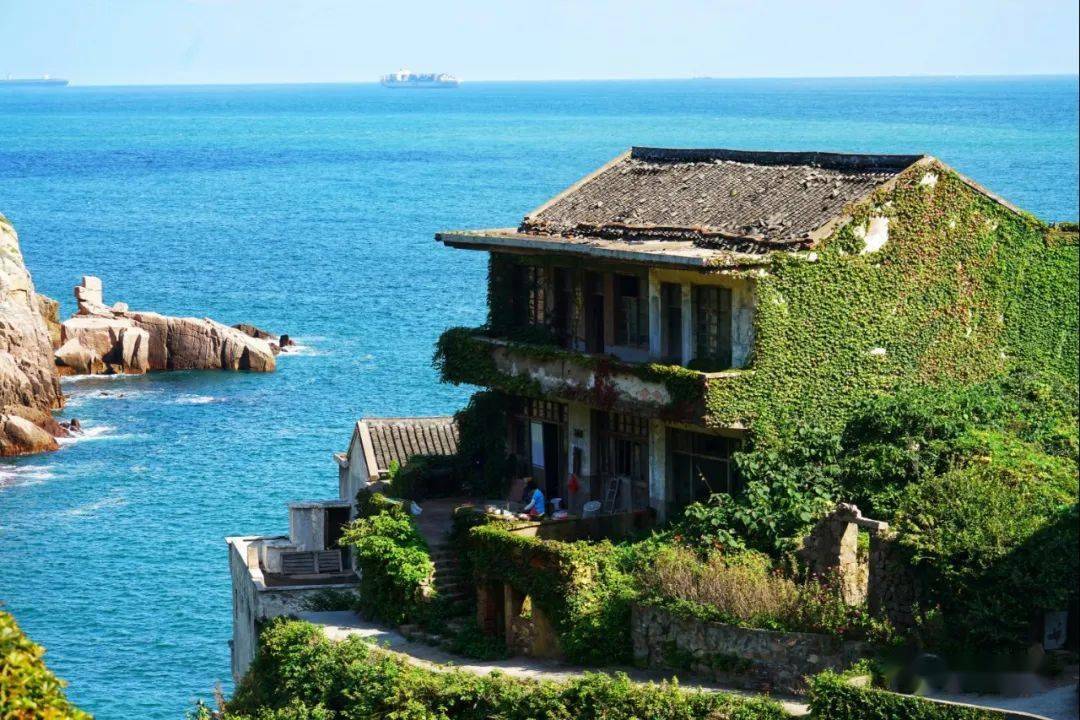 去秋游来枸杞嵊山岛做一回海王整片鱼塘都是你哒