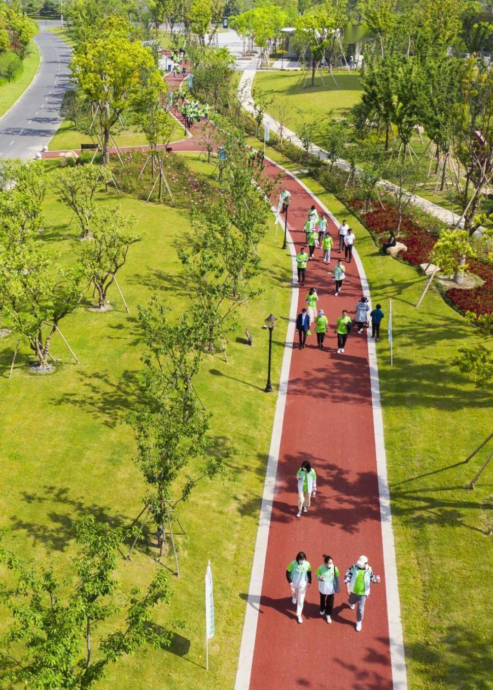 嘉善绿道怎么建?请你参与-搜狐大视野-搜狐新闻