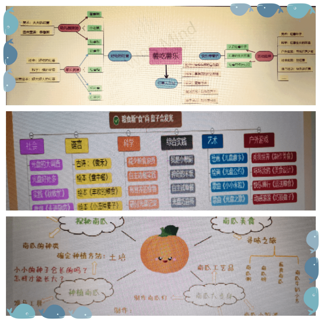 橘子主题课程网络图图片