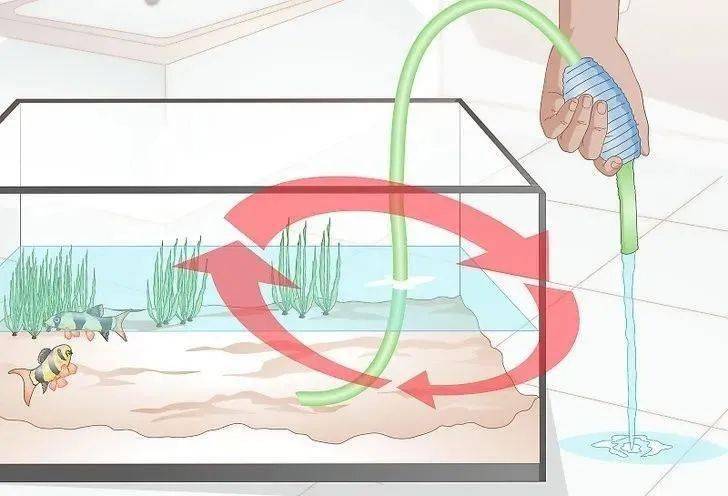 淡水水族箱换水你真的会吗