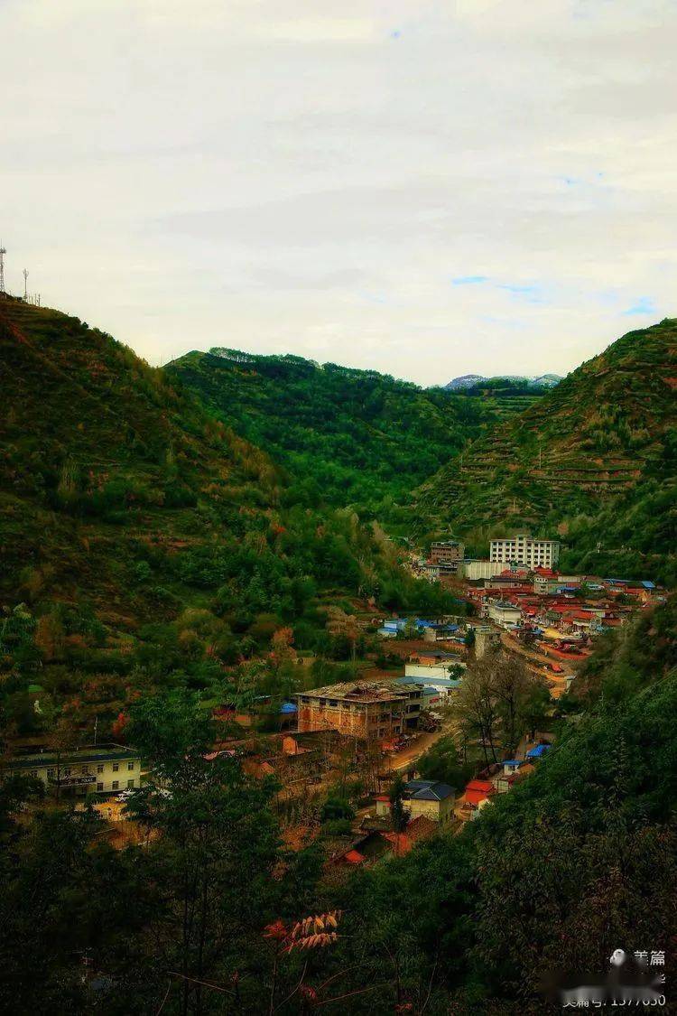 陇南礼县白关镇秋已暮露成霜淡淡思乡情