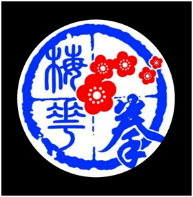 王击鼎势练神在心 久而有道法自然态梅花桩武术协会带你领略武术的美!