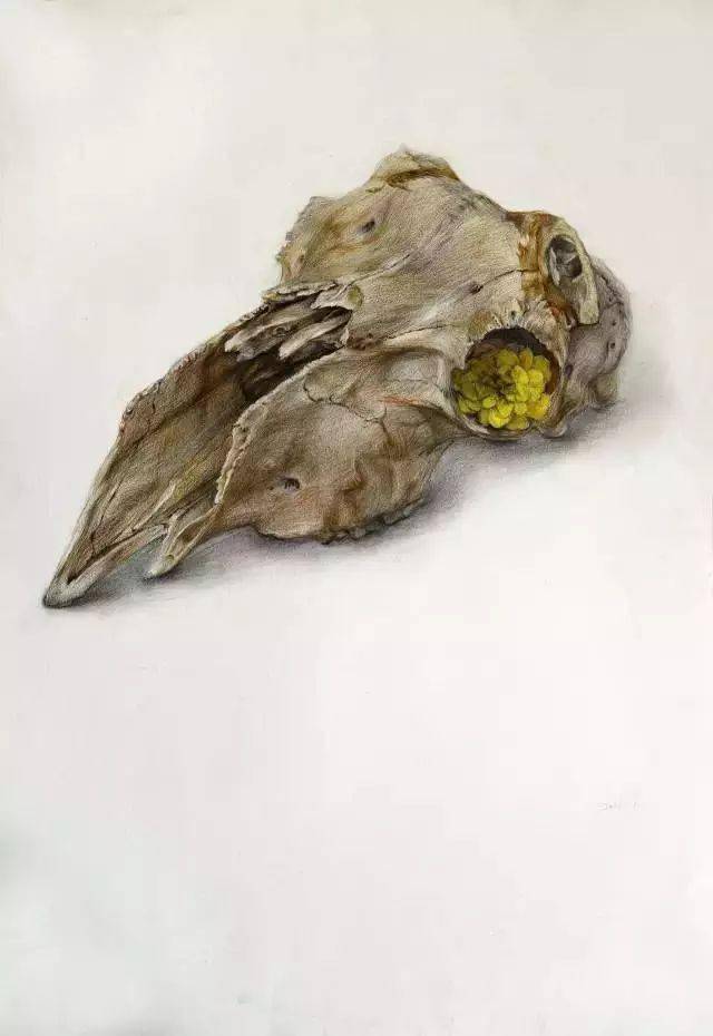 鲁美附中pk央美精微素描画作简直堪称扫描仪细节刻画令人震惊不已