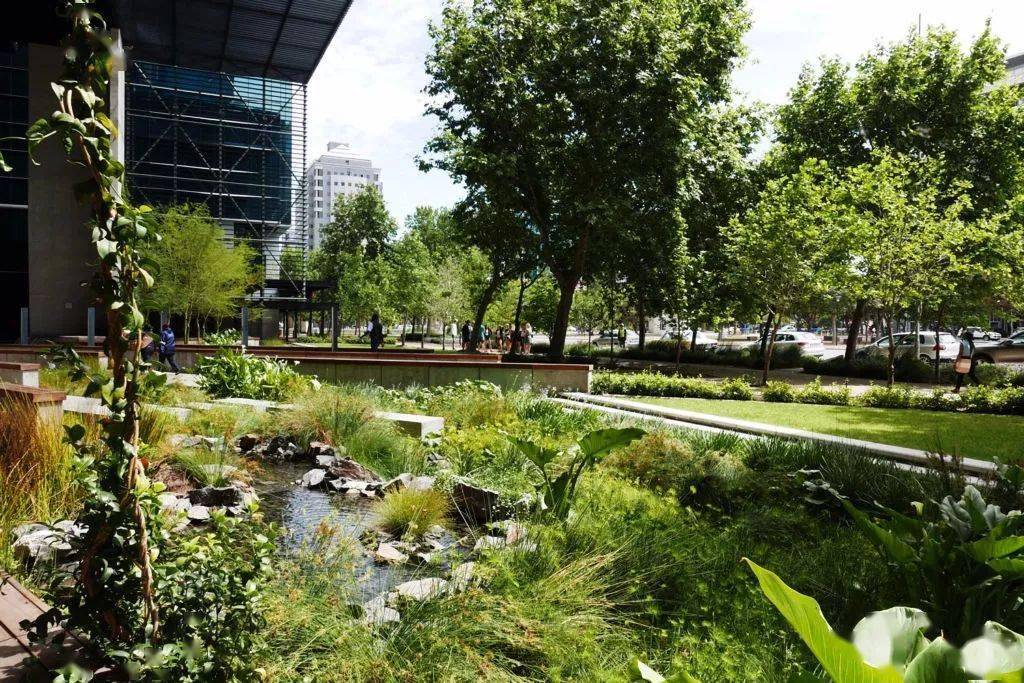 案例分享国内几个超美的雨水花园