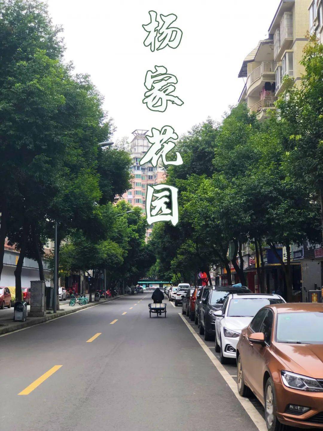 杨以德旧宅图片