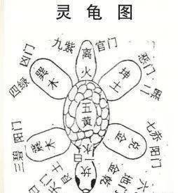 倪海厦灵龟八法图图片