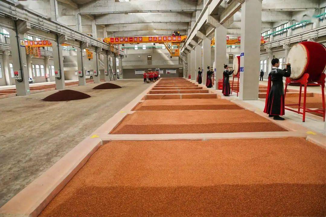 董卿朱广权张斌来泸见证丨郎酒又一个大动作再造一个百亿酱香郎酒