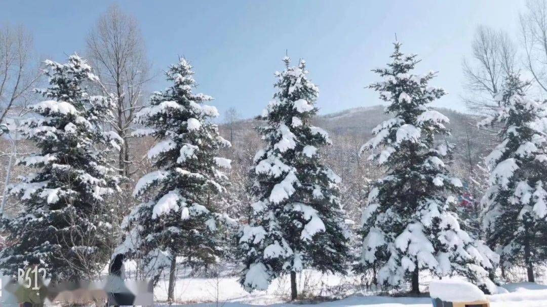 姑娘西岩路暖锅正好温酱酒民俗苑前雪未收黄犬等谁归足影空巷陌这隐隐