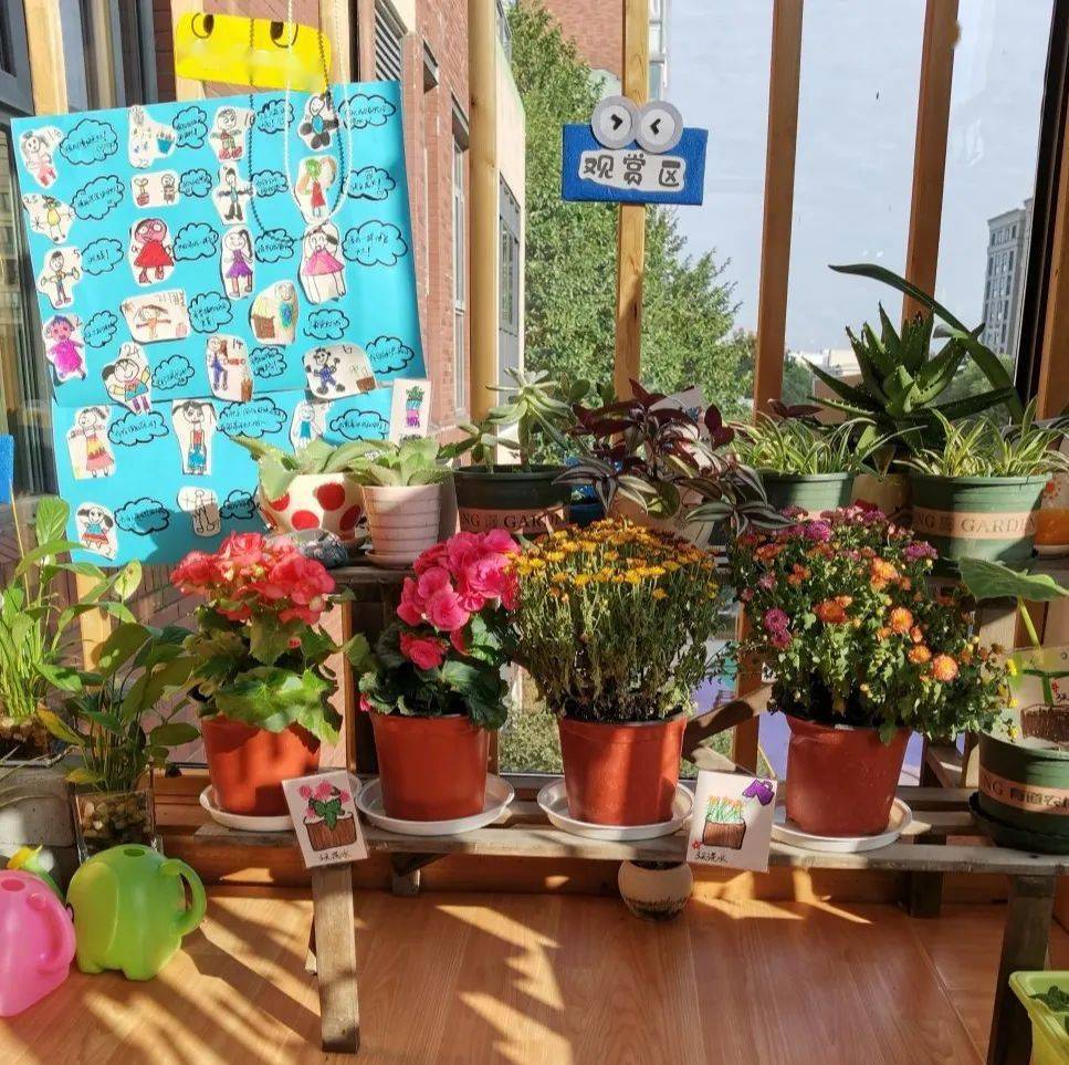转角遇见微森林上上城幼儿园自然角里秋天的故事