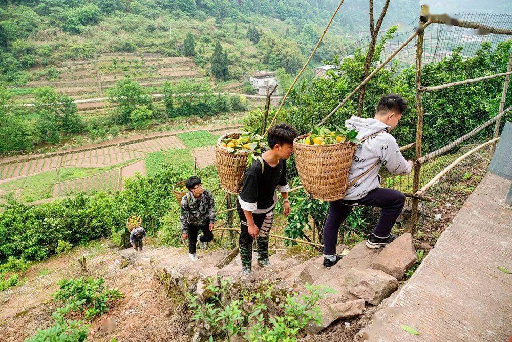 重庆市脱贫攻坚摄影作品选三