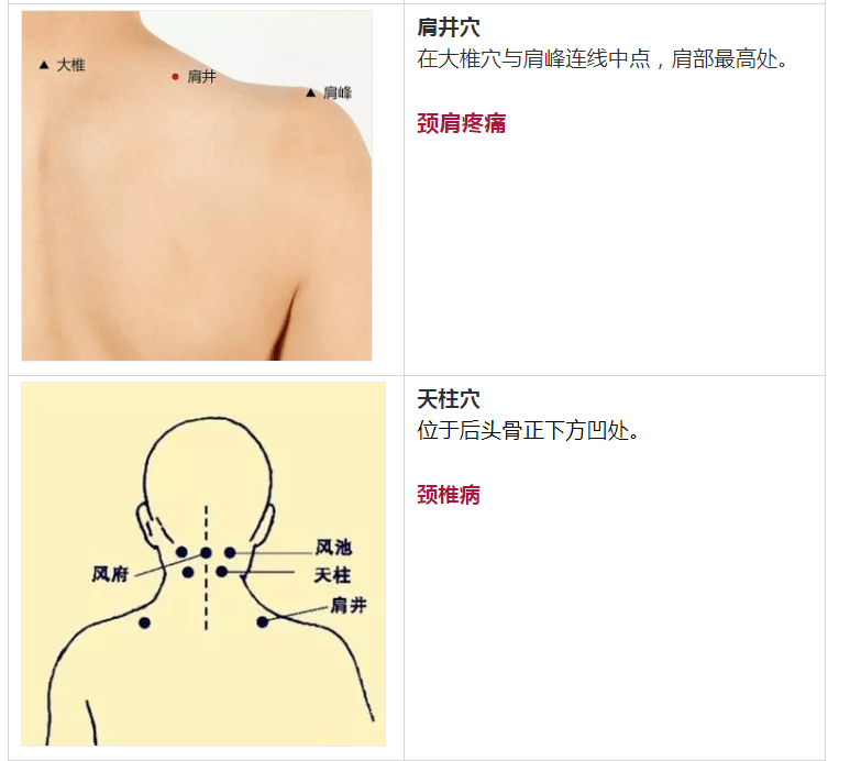 肩颈的三大经络图图片