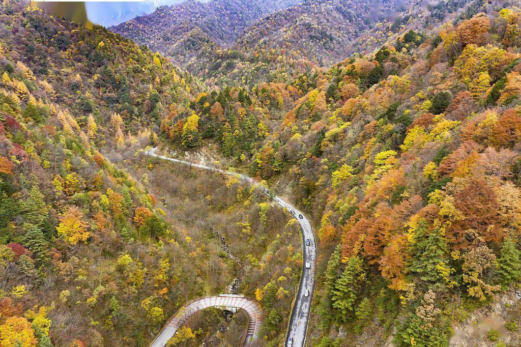 陕西宝鸡:秦岭披"五彩秋装" 景色壮美