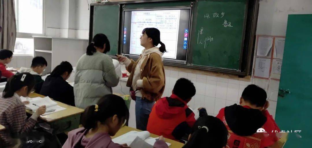 伏虎中学同课异构竞风彩