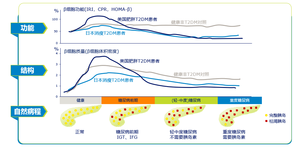 中國棋局中國方案德谷門冬雙胰島素全面改善中國t2dm患者血糖