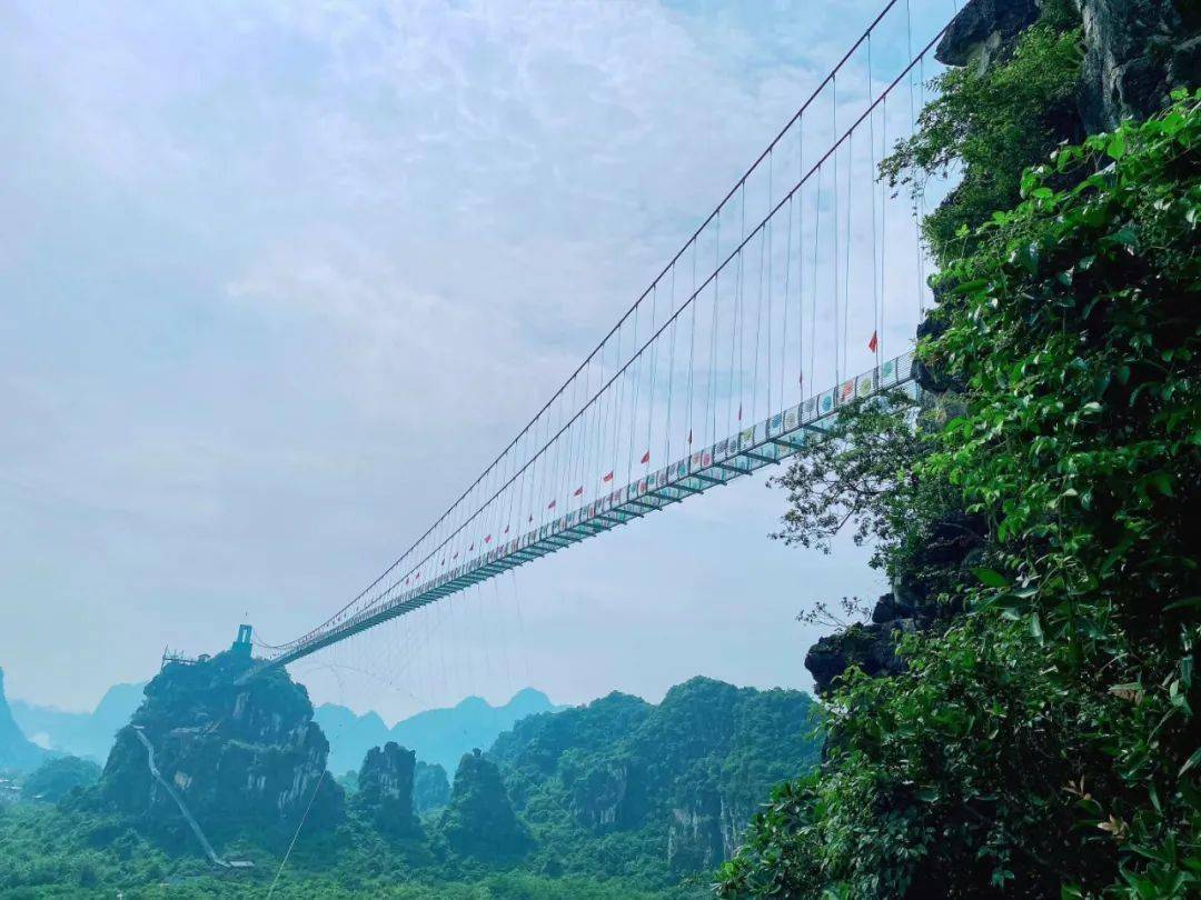 叮秋日福利已放送快收下这份龙谷湾秋行日志吧