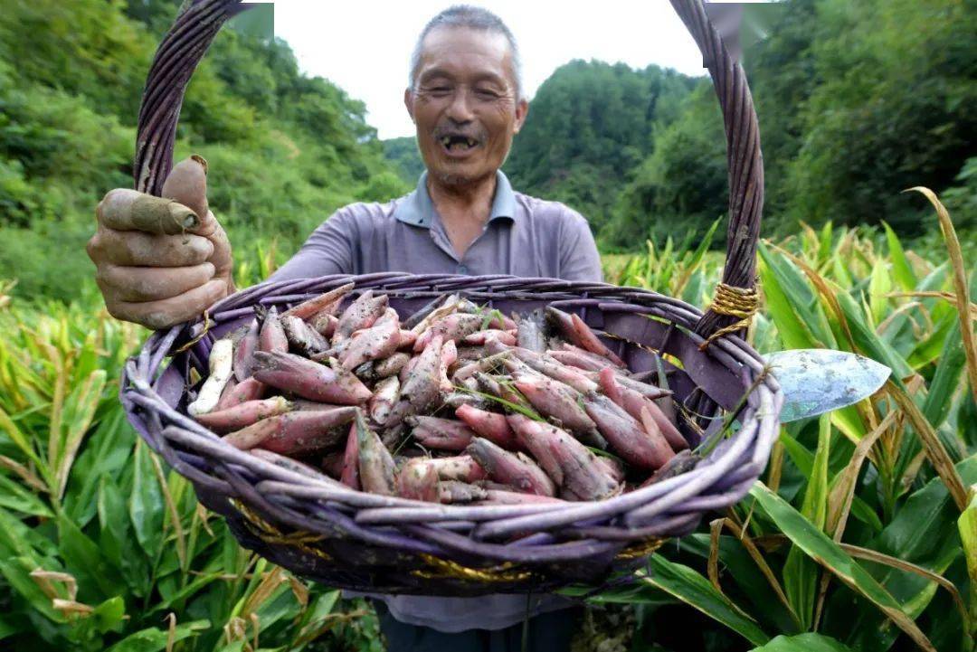 精准扶贫看湘西我们脱贫了