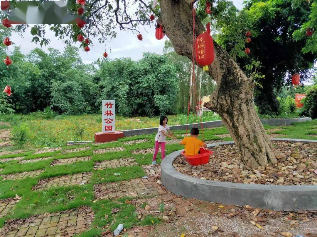 羡慕极了罗定这个村变得好美