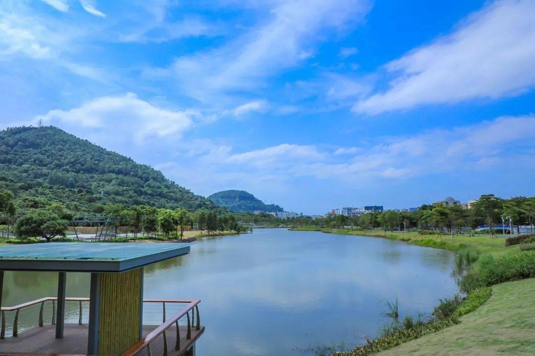 首次曝光720全景身临其境带你漫游宝安人才林公园