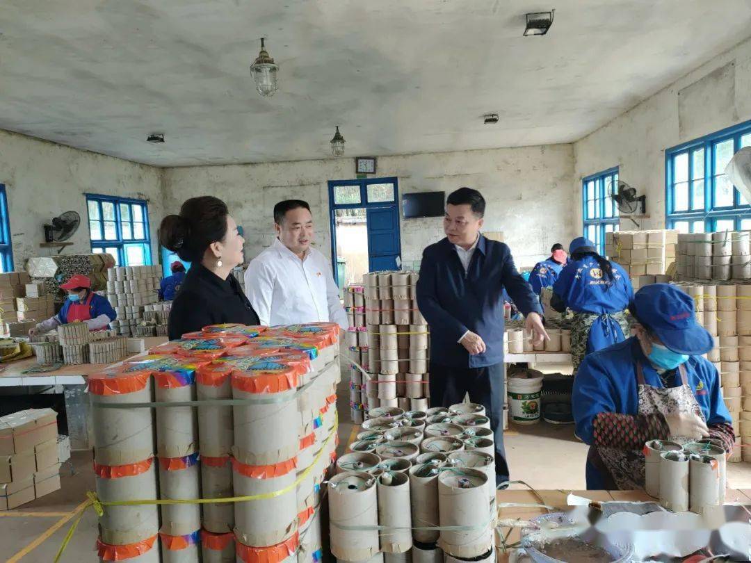 市委书记胡湘之带队督查安全生产