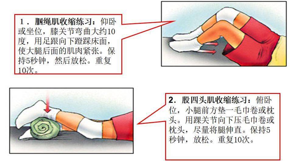 髌骨骨折功能锻炼图片图片